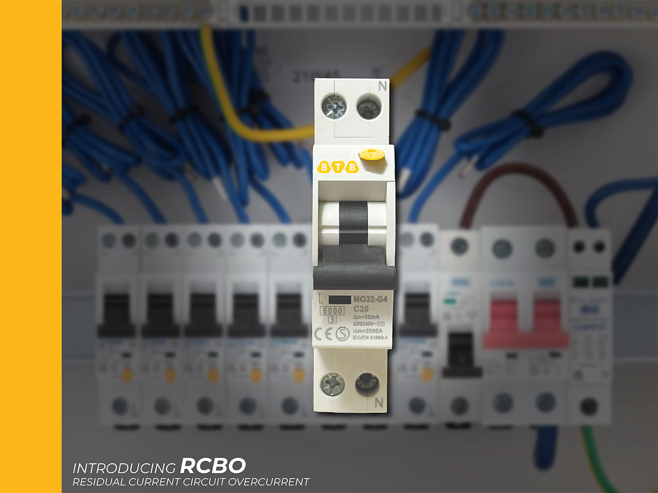 RCBO banner Kiến Hải